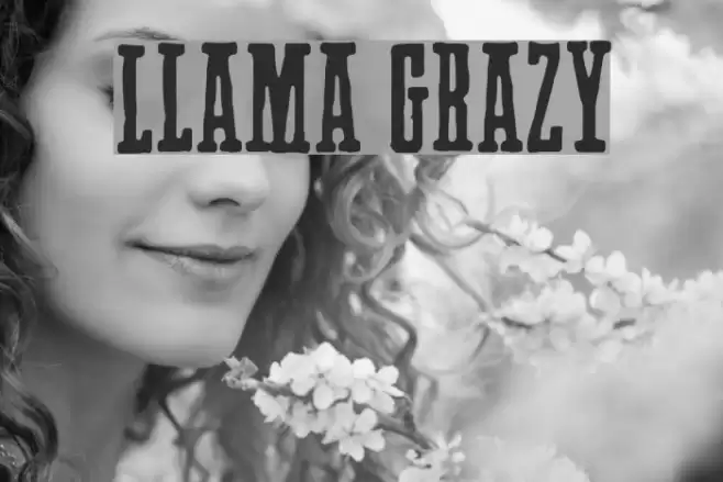 Llama Grazy Font examples
