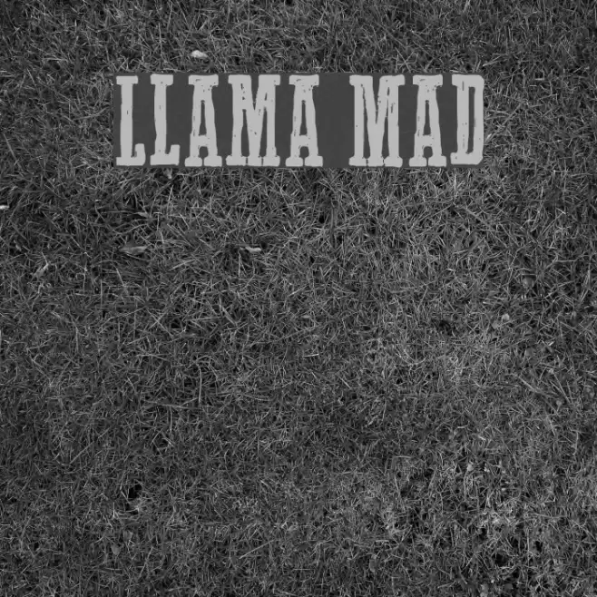 Llama Mad Font examples