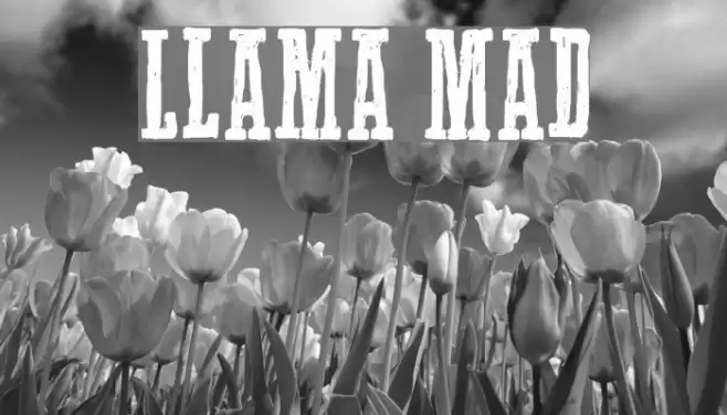 Llama Mad Font examples