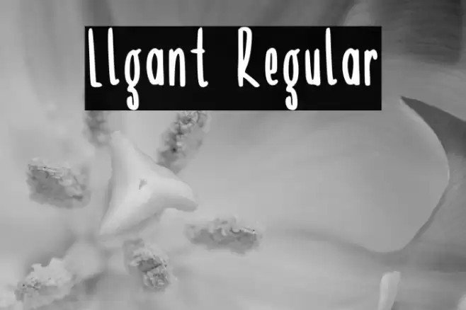 Llgant Regular Font examples