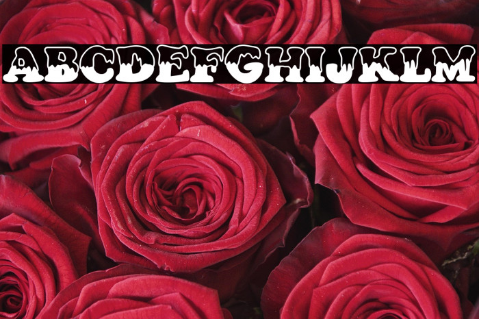 Lluvia Blanca Example 2