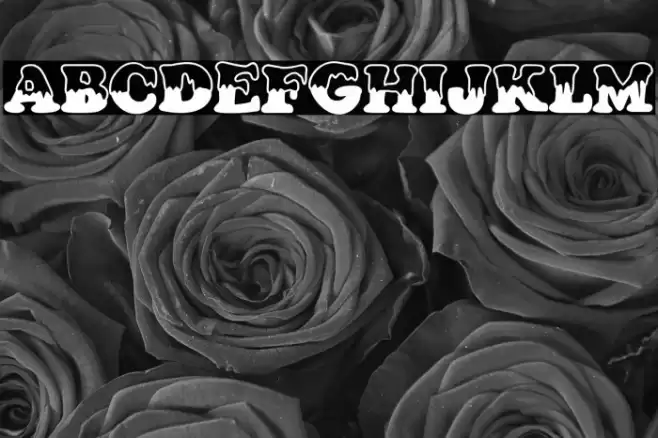 Lluvia Blanca Schriftart examples