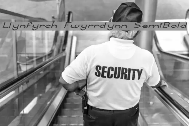 Llynfyrch Fwyrrdynn SemiBold Шрифта examples