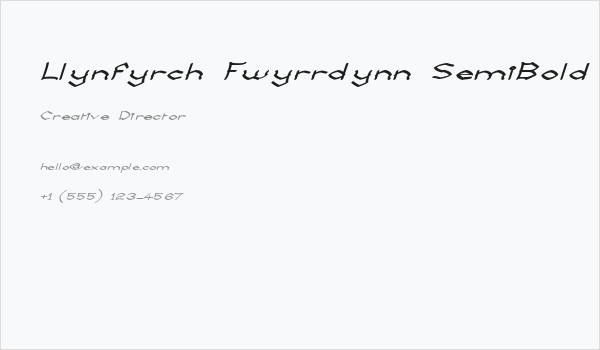 Llynfyrch Fwyrrdynn SemiBold Business Card
