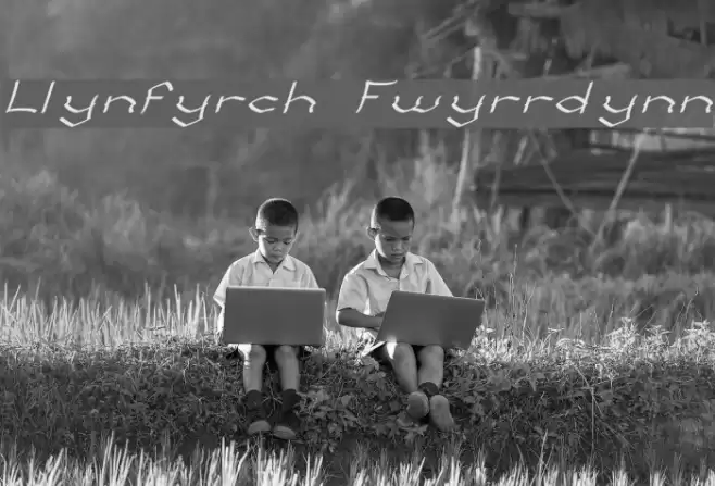 Llynfyrch Fwyrrdynn Fuentes examples