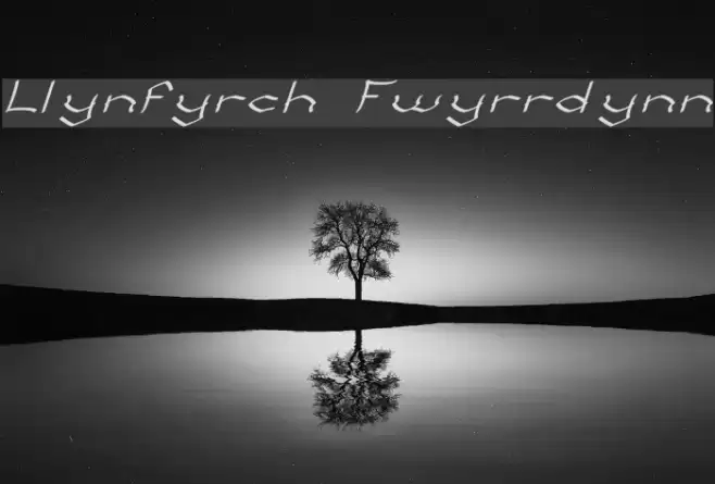 Llynfyrch Fwyrrdynn Fuentes examples