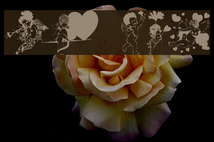 LM Cupids Font examples