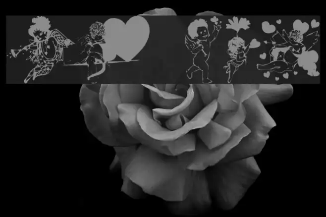 LM Cupids Example 3