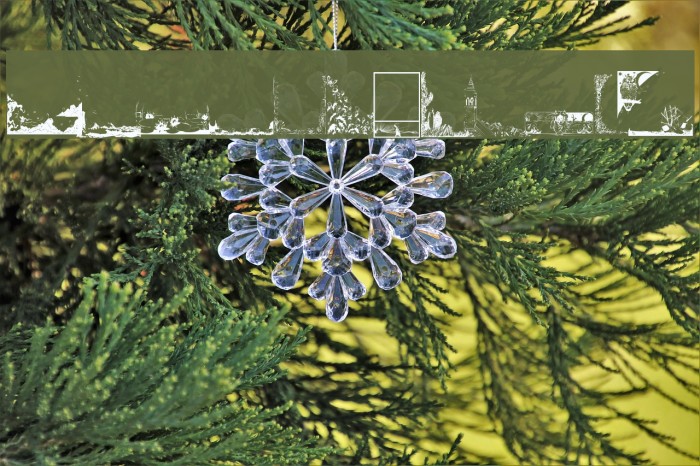 LM Nature Borders Example 1