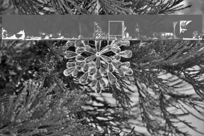 LM Nature Borders Font examples