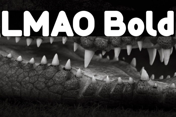 LMAO Bold Example 1