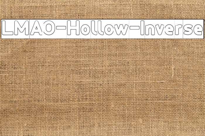 LMAO-Hollow-Inverse Example 1
