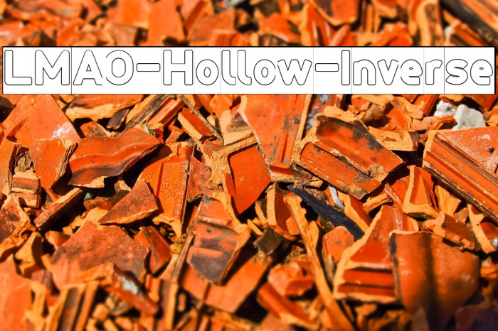 LMAO-Hollow-Inverse Example 3