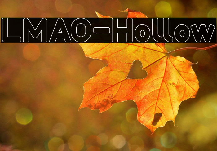 LMAO-Hollow Example 3