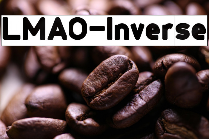 LMAO-Inverse Example 2