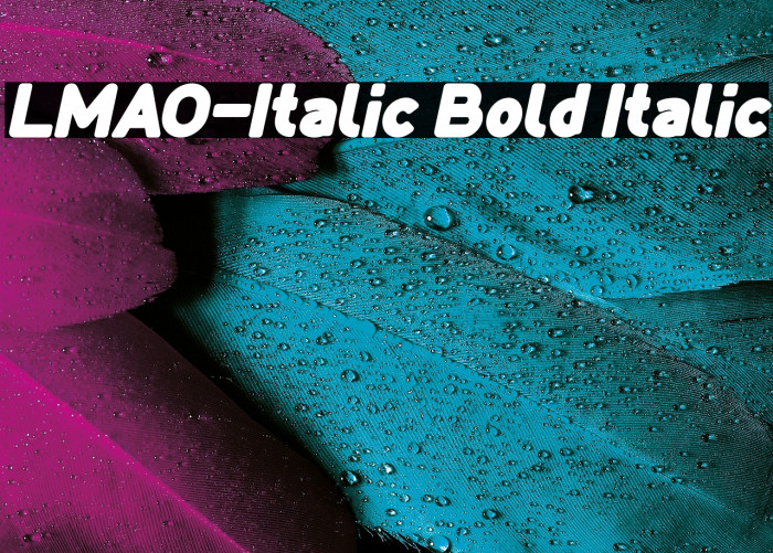LMAO-Italic Bold Italic Example 1
