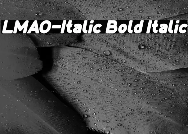 LMAO-Italic Bold Italic Font examples