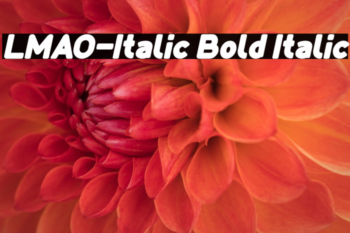 LMAO-Italic Bold Italic Example 2