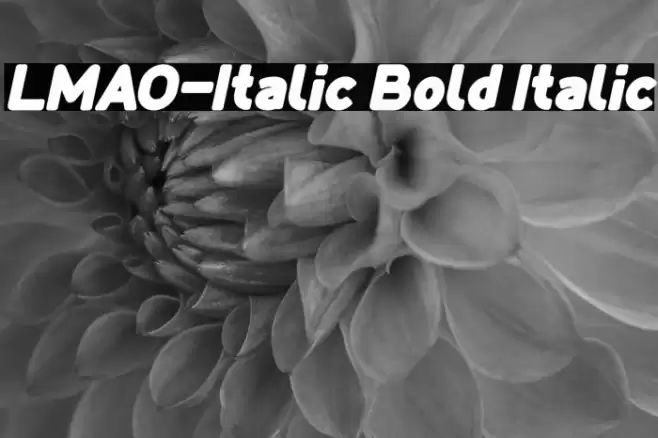 LMAO-Italic Bold Italic Font examples