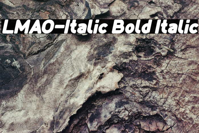 LMAO-Italic Bold Italic Example 3