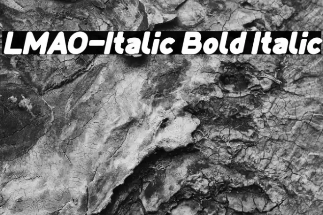 LMAO-Italic Bold Italic Font examples