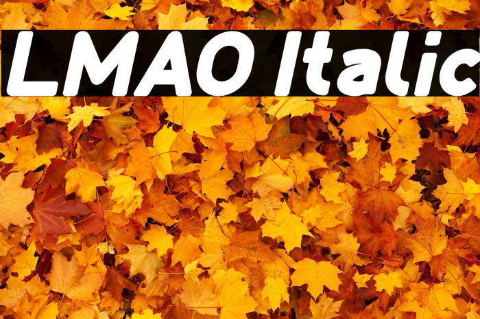 LMAO Italic Example 3