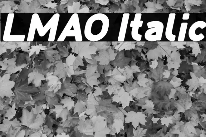 LMAO Italic Font examples