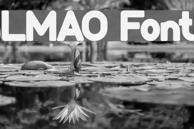 LMAO Font examples