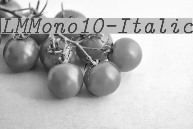 LMMono10-Italic Font examples