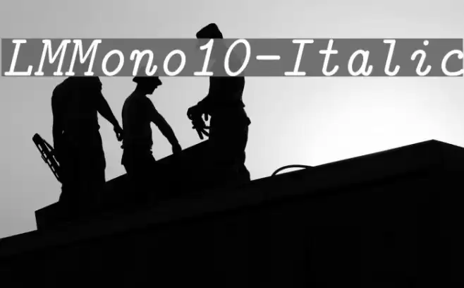 LMMono10-Italic Font examples