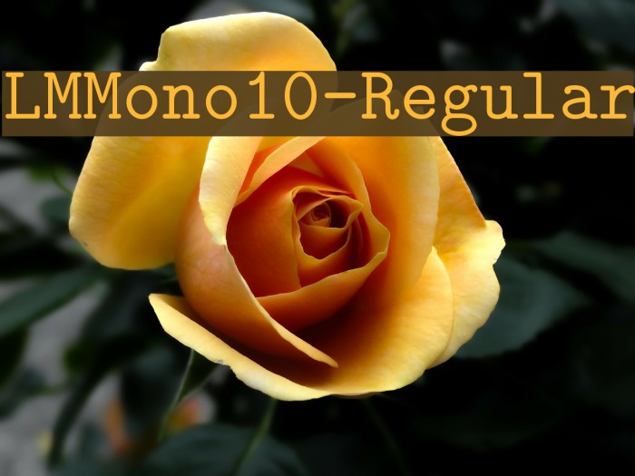 LMMono10-Regular Font examples