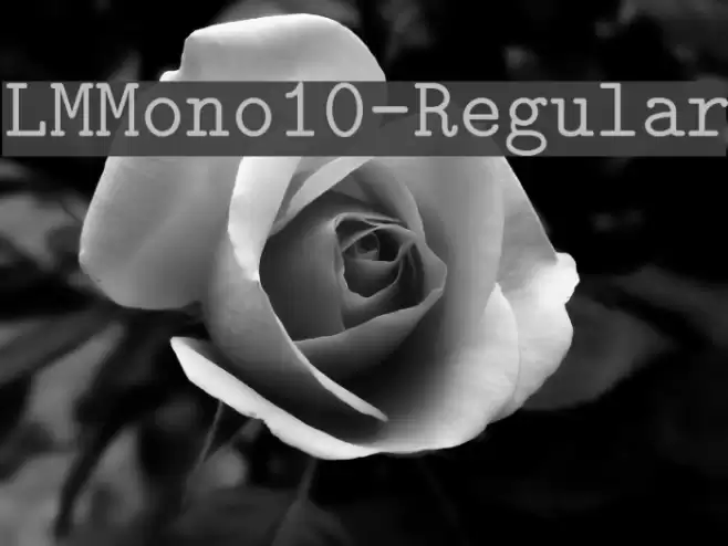 LMMono10-Regular خط examples