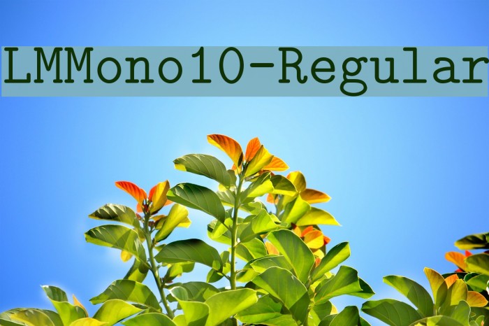LMMono10-Regular Font examples