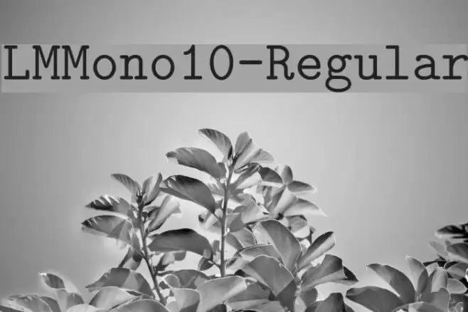 LMMono10-Regular خط examples
