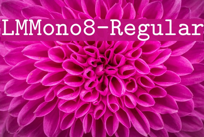 LMMono8-Regular Font examples