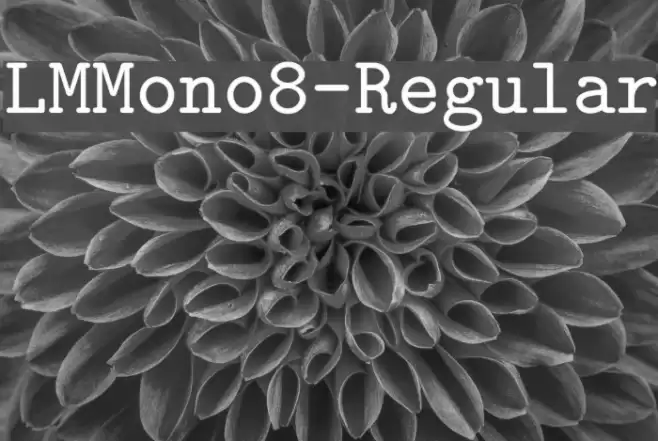 LMMono8-Regular Font examples