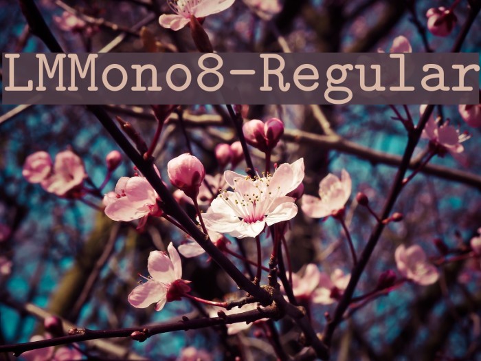 LMMono8-Regular Font examples
