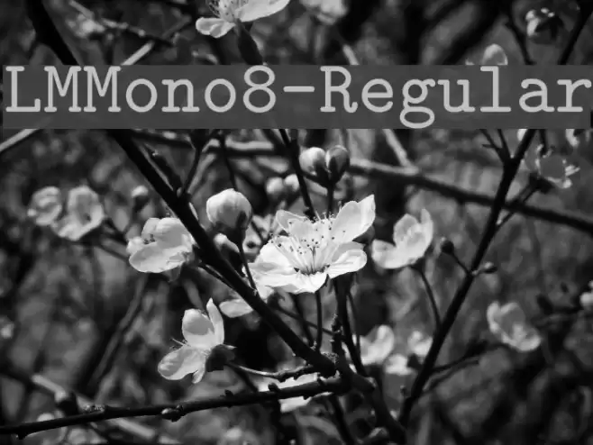 LMMono8-Regular Font examples