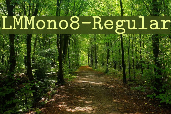 LMMono8-Regular Font examples