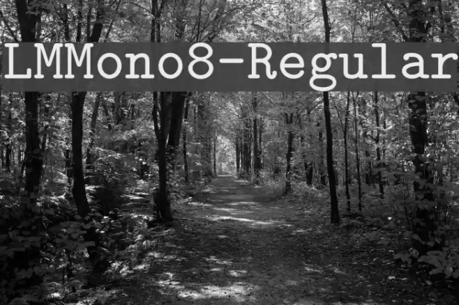 LMMono8-Regular Font examples