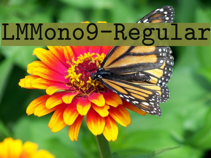 LMMono9-Regular Font examples