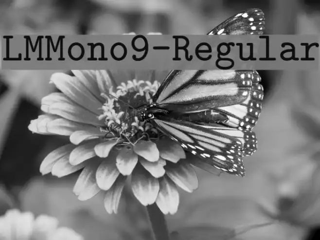 LMMono9-Regular Example 2