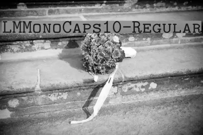 LMMonoCaps10-Regular Font examples