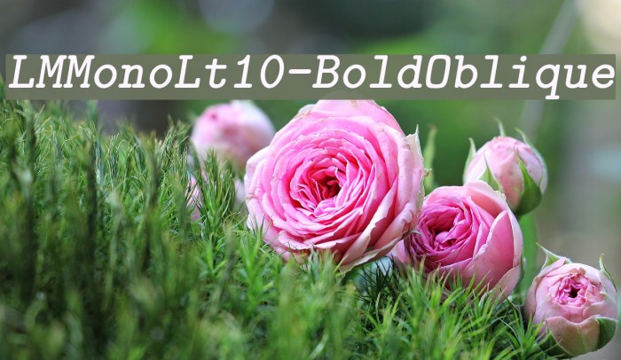 LMMonoLt10-BoldOblique Font examples