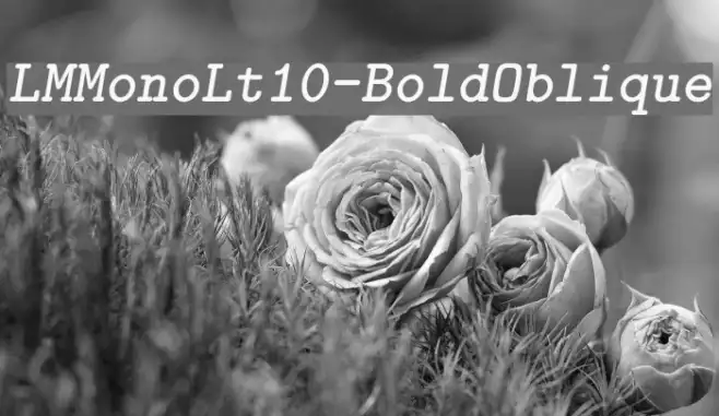 LMMonoLt10-BoldOblique Example 1