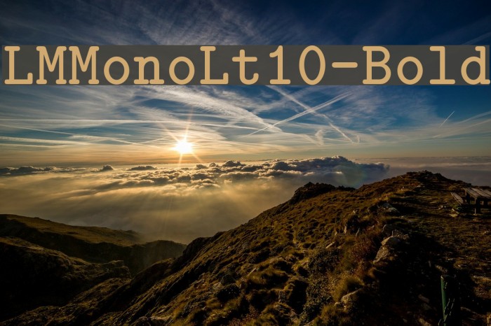 LMMonoLt10-Bold Font examples