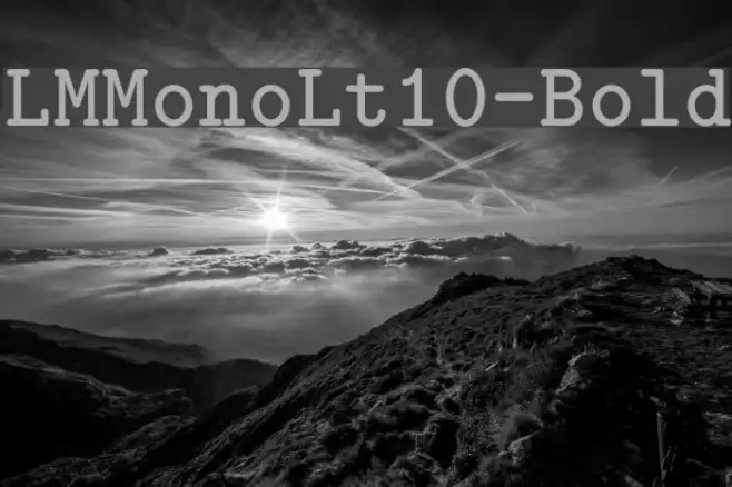 LMMonoLt10-Bold Example 1