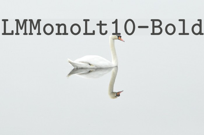 LMMonoLt10-Bold Font examples