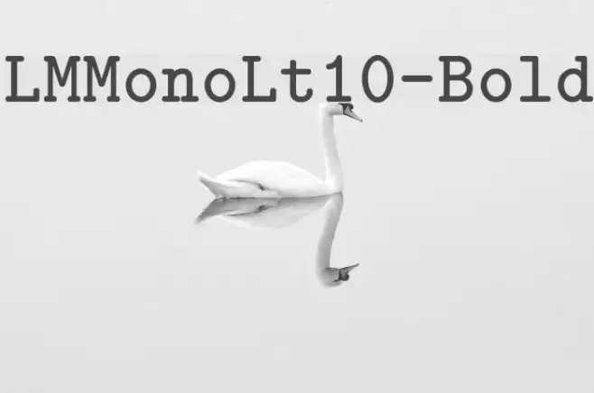 LMMonoLt10-Bold Example 3