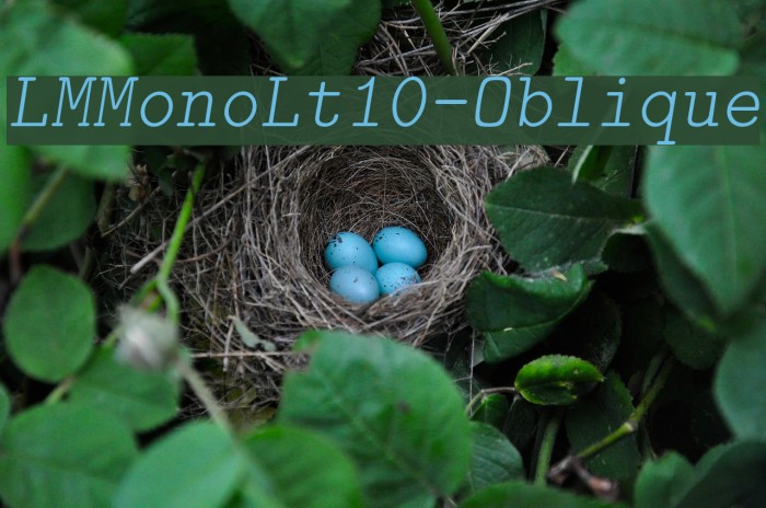 LMMonoLt10-Oblique Font examples